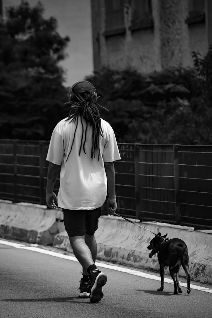 Back view of person with a dog on a leash walking in São Paulo city street.